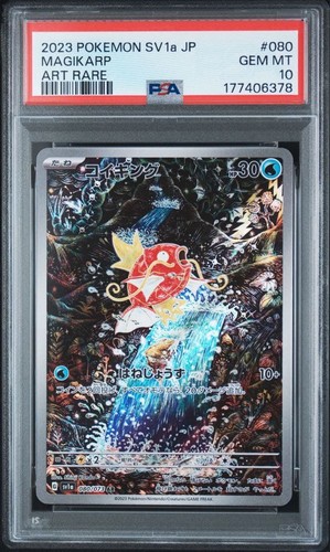 Magikarp pokemon psa 13 - ar,